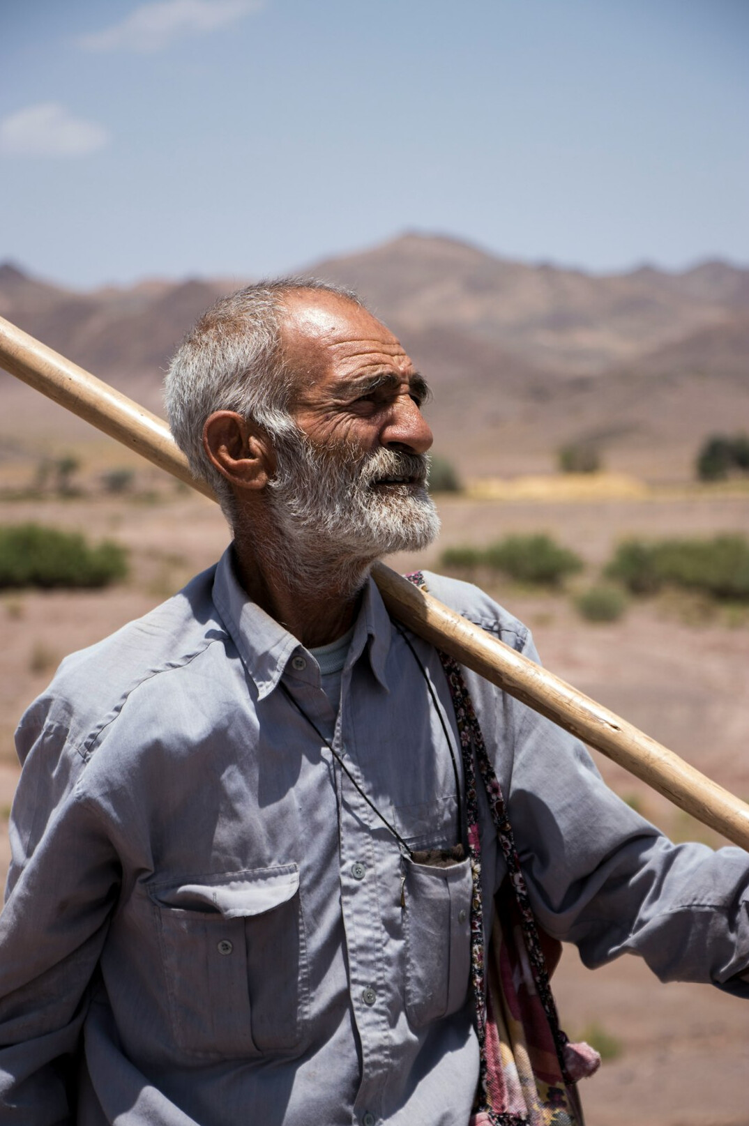 Portrait of a smiling 72 year old man with a short grey beard