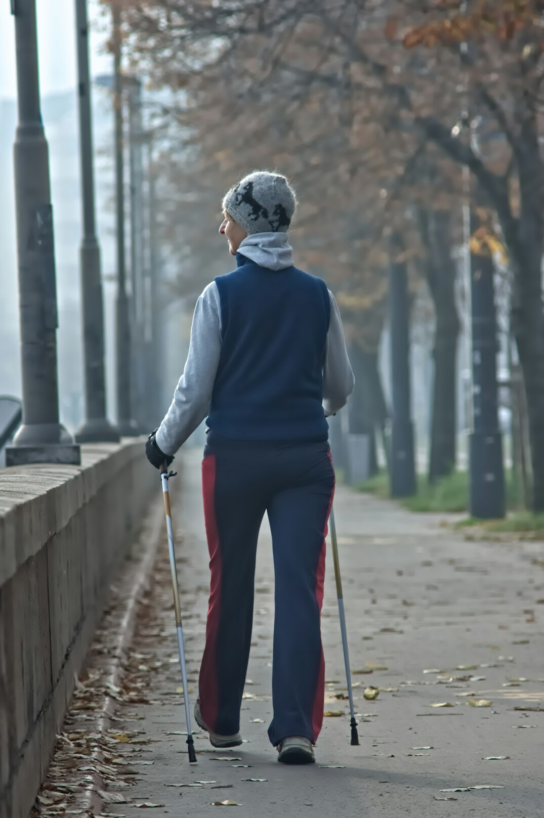 Group of seniors doing nordic walking with poles along a lakeside path
