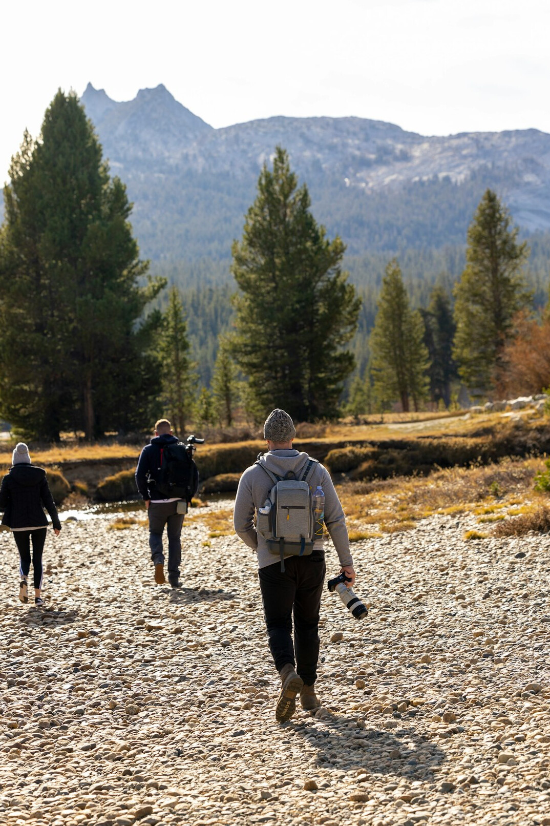 Group of diverse active seniors walking together in a sunny park and laughing
